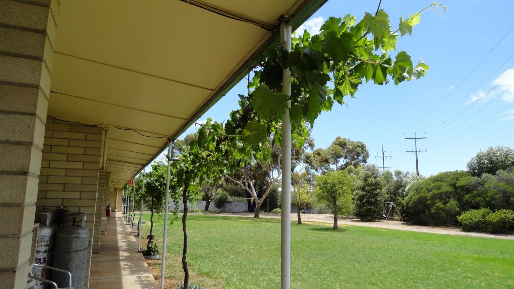 Murray Bridge Motor Inn Exterior foto